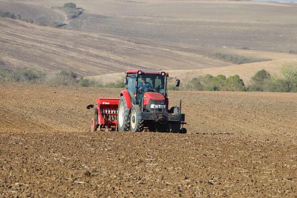 Tekirdağ'da yağmurun ardından buğday ekimi başladı