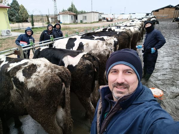 Ari İşletmelerde Tüberküloz ve Brucella Hastalık Taraması