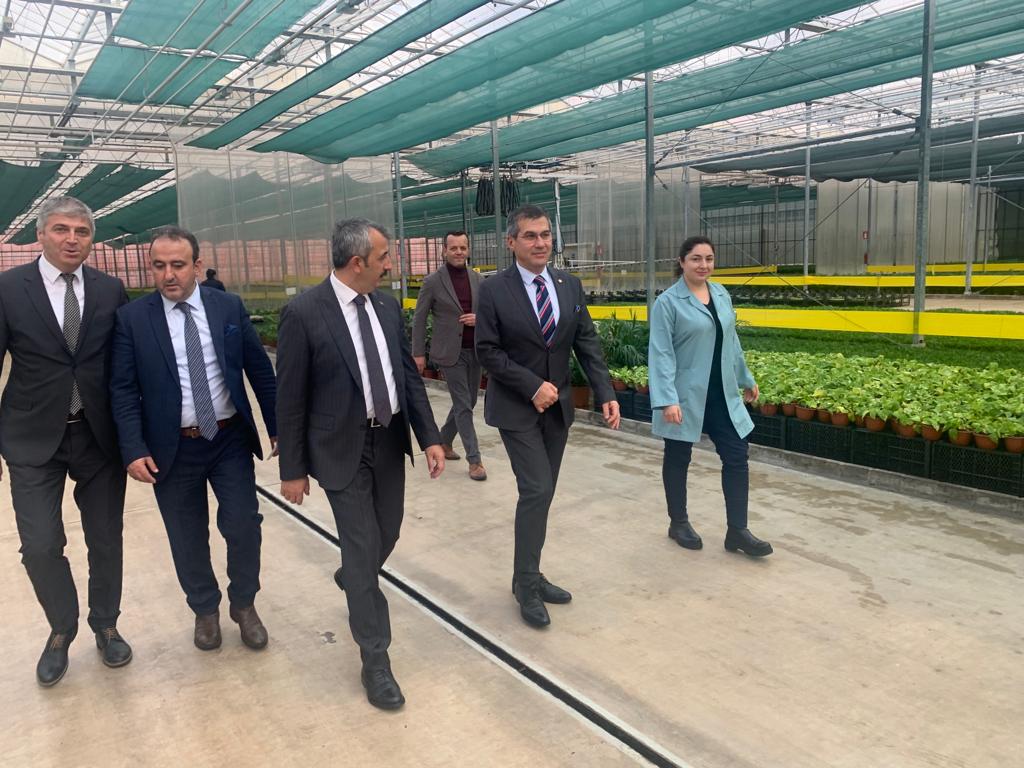 Edirne Valisi Yunus Sezer Tekirdağ'ın Ergene ilçesinde bulunan Agrocan firmasına ait modern termal seralarda incelemelerde bulundu