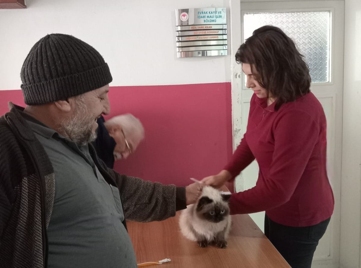 Babaeski'de Çip İşlemi Uygulanmaya Devam Ediyor