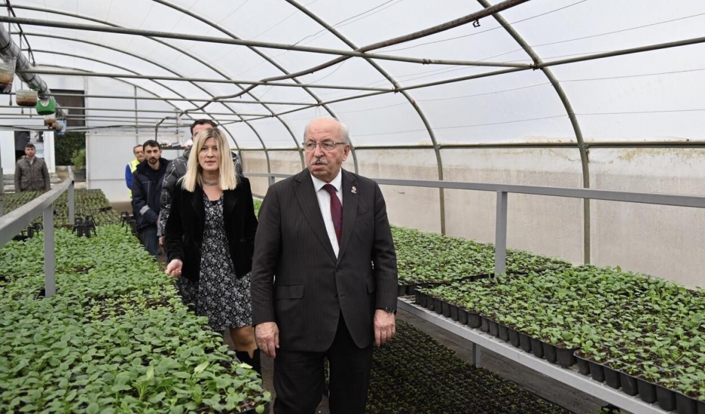 Başkan Albayrak, Çiçek Üretiminin Yapıldığı Seralarda İncelemelerde Bulundu