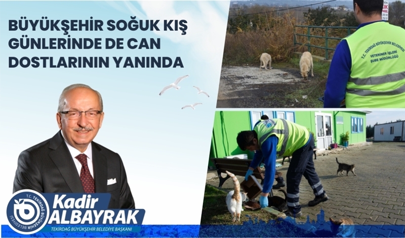 Büyükşehir Soğuk Kış Günlerinde De Can Dostlarının Yanında