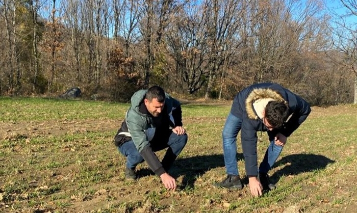 Demirköy'de Yerli Buğday Tohumlarının Başarılı Demonstrasyon Çalışması