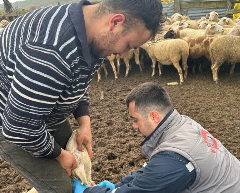 Beyci Köyünde Üreticiler Bilgilendirildi, Kan Örnekleri Toplandı