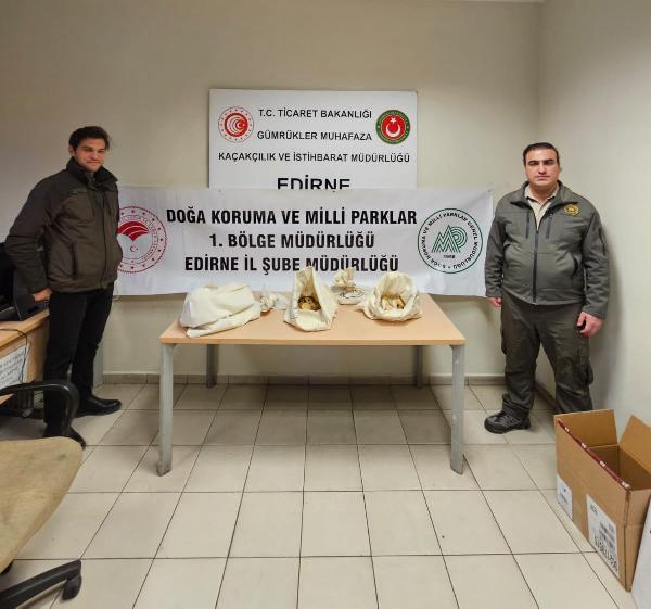Kapıkule'de otomobilde 33 piton ele geçirildi