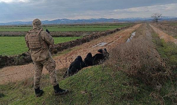 Edirne'de 21 kaçak göçmen yakalandı