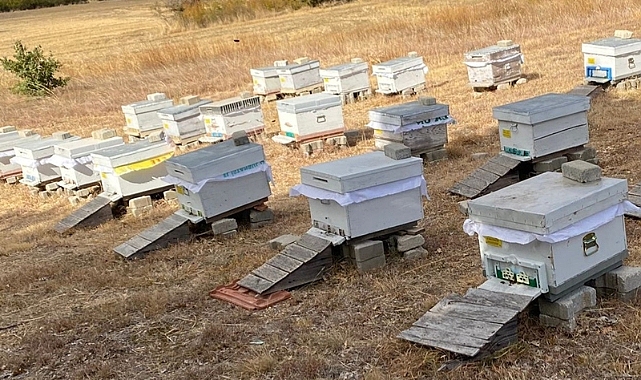 Ekonomiye ve Çiftçilere Katkı Devam Ediyor