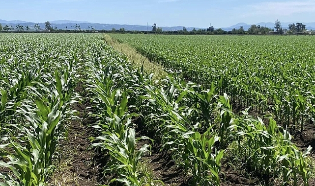 Kırklareli’nde 1312 Üreticiye Tarımsal Destekleme Ödemesi