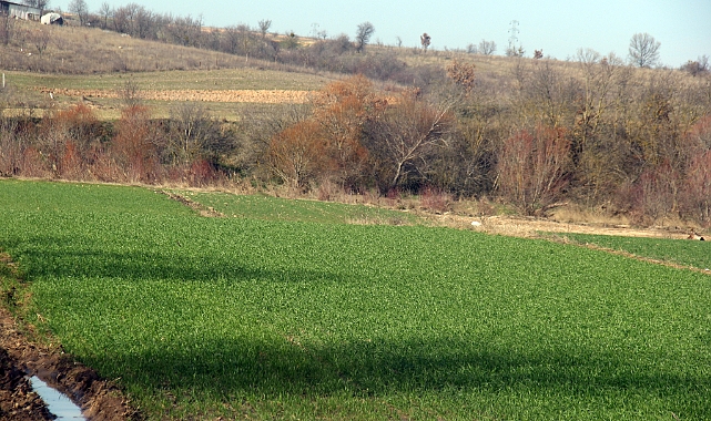 Kırklareli’nde Hububat Ekim Alanları Kontrol Ediliyor