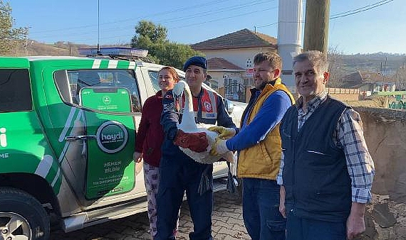 Bahçede bitkin bulunan kuğu, tedaviye alındı