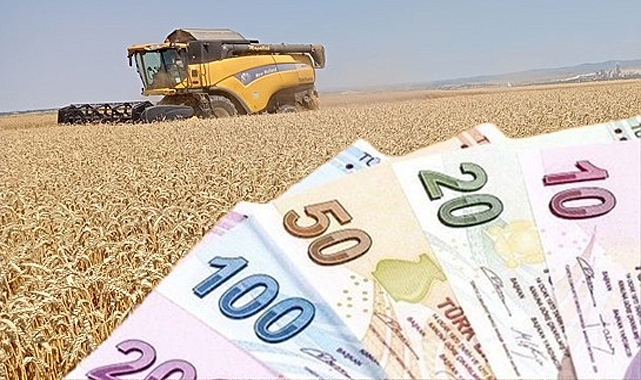 Destekleme Ödemeleri Çiftçilerin Hesaplarında