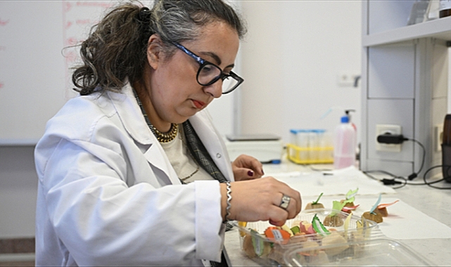 Doç. Dr. Gülşah Gedik'ten