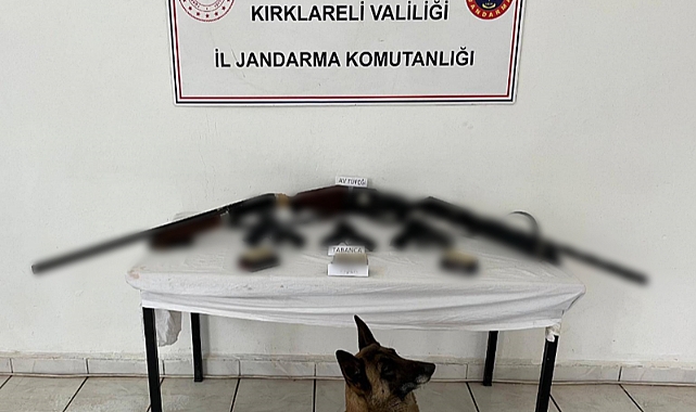 Jandarmadan Operasyon: Silah ve Mühimmat Ele Geçirildi
