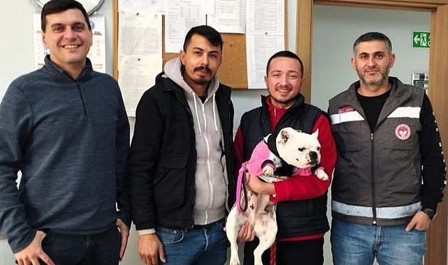 Kaybolan Köpek Çip Sayesinde Sahibine Teslim Edildi