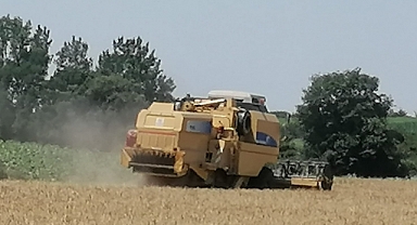 Türkiye'de Tarımsal Girdi Fiyatları Artış Gösterdi